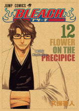 Load image into Gallery viewer, Bleach Retro Style Kraft Paper Poster
