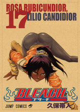 Load image into Gallery viewer, Bleach Retro Style Kraft Paper Poster