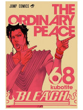 Load image into Gallery viewer, Bleach Retro Manga Cover Canvas Poster
