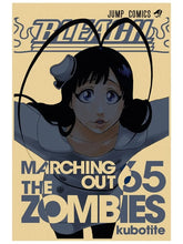 Load image into Gallery viewer, Bleach Retro Manga Cover Canvas Poster
