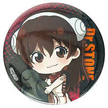 Load image into Gallery viewer, Dr. Stone Badge Brooch Pins
